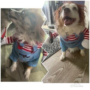 Chucky Good Dog Halloween Costume Size Medium